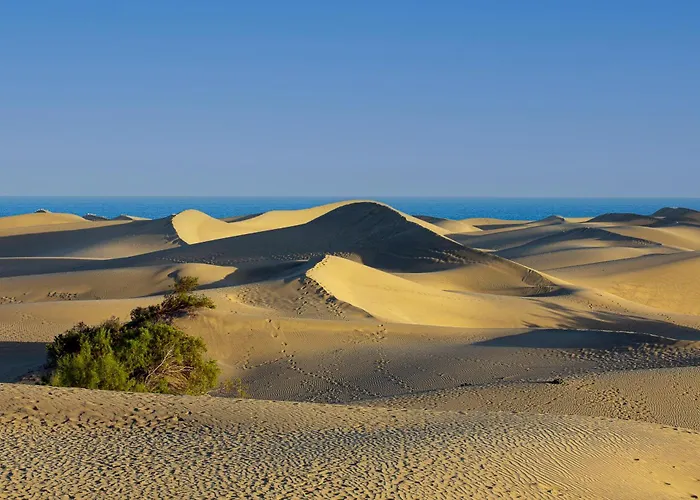 Apartamento Soundproof With Sea View In Maspalomas Playa del Inglés