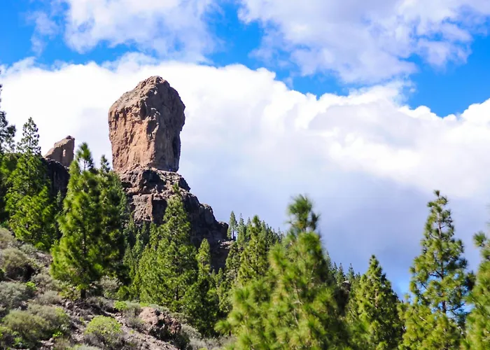 Soundproof With Sea View In Maspalomas Appartamento Playa del Inglés