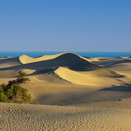 Lejlighed Soundproof With Sea View In Maspalomas Playa del Inglés